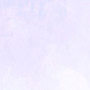 Meet your Posher, Fallon